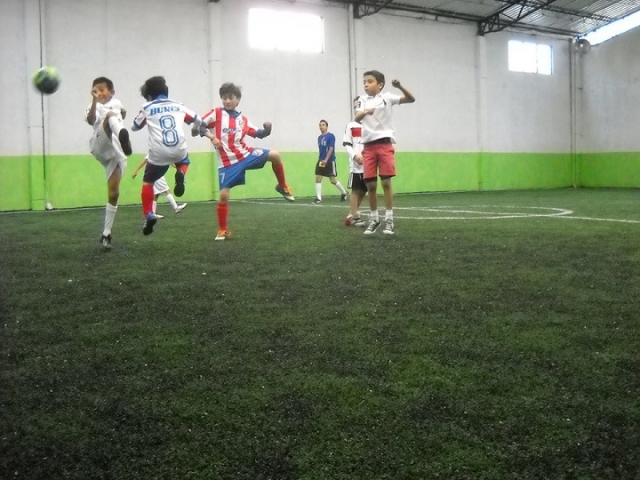 campioni autentici 